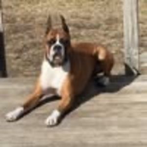 Meet your Posher, Cyndie